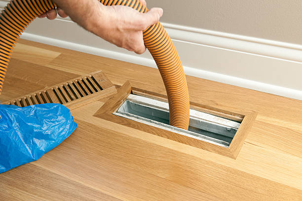 Best Air Duct Mold Removal  in Chamberlayne, VA