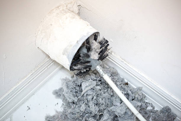 Best Emergency Air Duct Cleaning  in Chamberlayne, VA